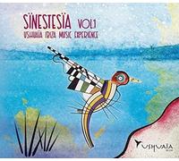 Sinestesia Usuaia Ibiza Music Experience 1 / Var [Import]