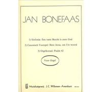 Sinfonia: Een Vaste Burcht Is Onze God / Recueil