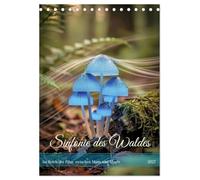 Sinfonie des Waldes (Tischkalender 2027 DIN A5 hoch), CALVENDO Monatskalender: Im Reich der Pilze, zwischen Moos und Magie.