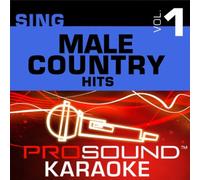 Sing Male Countryhits Vol 1 [Import]