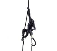 Singe Avec Corde Plafonnier Noir Extérieur