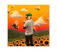 Singer Tyler, The Creator Flower Boy Poster sur toile pour décoration de chambre à coucher, paysage sportif, décoration de bureau, cadeau sans cadre, 30 x 30 cm