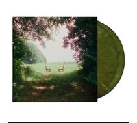 Singin' To An Empty Chair Vinyle Coloré Vinyle