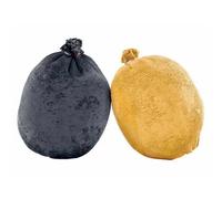 Magnésie en boule Singing Rock Twins (x2) Noir 35 g