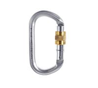 Singing Rock Mousqueton Ovale KeyLock acier