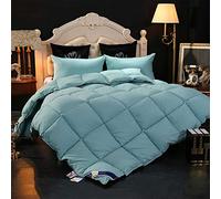Single and Double Hotel Quilt High-End Down Winter Quilt Simple Solid Color Thick Warm Gift Quilt Down Velvet Soft and Slender Light and Warm 220X240CM 6 (1)