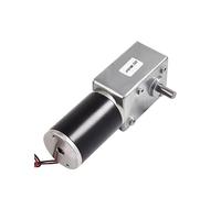 Single-Shaft Or Double-Shaft DC12V24V High-Torque Worm Geared electronic starter With 1.5 To 440RPM Adjustable Speed Reversible And Self-Lock RUAJOGYNVM(12v 24rpm 120kg.cm,Double-Shaft)