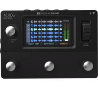 Singular Sound Aeros Loop Studio Effet guitare