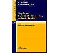 Singularities, Representation Of Algebras, And Vector Bundles