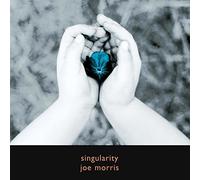 Singularity by Joe Morris