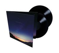 Singularity Double Vinyle 180 gr Gatefold Inclus coupon MP3 Vinyle
