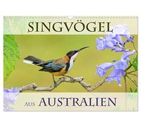Singvögel aus Australien (Wandkalender 2026 DIN A3 quer), CALVENDO Monatskalender: Die kunterbunte Vogelwelt Australiens