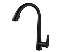 Sink Faucets with Pull Out Spray Brass Rotation Functions Nozzle Hot and Cold Single Hole Kitchen Mixer Faucet-Grey (Color : Black) Drinking Water Faucet