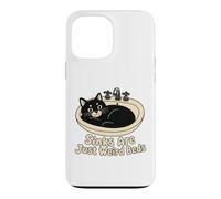 Sinks are Just Weird Beds Salle de Bain pour Chat Coque pour iPhone 13 Pro Max