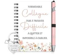 Sinmoe Cadeau Collegue de Travail Femme Remerciement Collegue Noël Set 3 Pièces avec Mini Carnet Spirale Stylo à Bille Porte-Clé Idéal Départ Retraite (Rose,FORMIDABLE collègue)