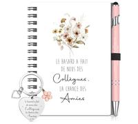 Sinmoe Cadeau Collegue de Travail Femme Remerciement Collegue Noël Set 3 Pièces avec Mini Carnet Spirale Stylo à Bille Porte-Clé Idéal Départ Retraite (Rose,Le hasard a fait de nous des collègues)