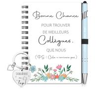 Sinmoe Cadeau Collegue de Travail Femme Remerciement Collegue Noël Set 3 Pièces avec Mini Carnet Spirale Stylo à Bille Porte-Clé Idéal Départ Retraite (Bleu Brume,collègue au top)