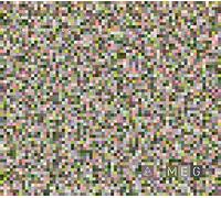 SINNER DC - MEG/CDG CD NEUF