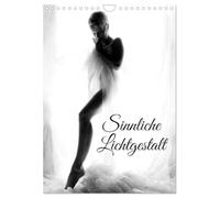 Sinnliche Lichtgestalt (Wandkalender 2026 DIN A4 hoch), CALVENDO Monatskalender: Das helle Licht kleidet nackte Körper in Harmonie und Erotik