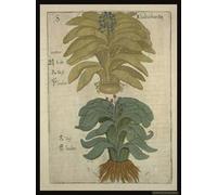 Sino-Iranica: China And Ancient Iran: Commodities And Cultural Exchange From 1000bc To Medieval Times