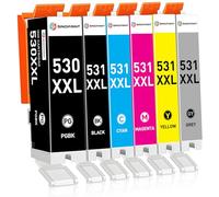 SINOPRINT PGI-530 CLI-531 Cartouches d'encre Compatibles pour Canon PGI-530XL CLI-531XL PGI530 CLI531 pour TS8750 TS8751 TS-8750 TS-8751(PGBK, Noir, Cyan, Magenta, Jaune, Gris)