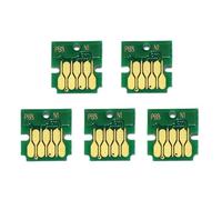 SINOSCOGO Puce de boîte de Maintenance T6716 T671600, Compatible avec WF C529R C579R M5299 M5799 C5710 C5790 C5290 C5210 ET 8700, réservoir d'encre usagée pour imprimante(20Pcs)