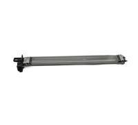 SINOSCOGO Unité Corona de Charge 1X AD004091, Compatible avec MP 5500 6000 6500 7000 7500 8000 1060 1075 1085 1105 2051 2060 2075 2090 2105