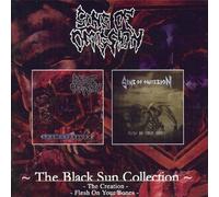Sins Of Omission - Black Sun Collection