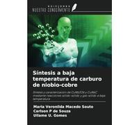 Síntesis a baja temperatura de carburo de niobio-cobre: Síntesis y caracterización de CuNb2O6 y CuNbC mediante reacciones sólido-sólido y gas-sólido a baja temperatura