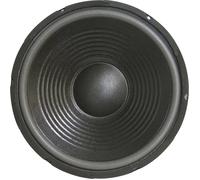 Sintron 203377 30 cm Subwoofer PA 300 W 8 Ω