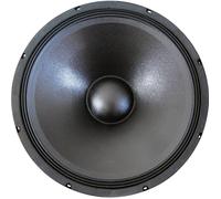 Sintron 203379 45 cm Subwoofer PA 400 W 8 Ω