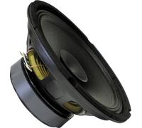 Sintron 203781 25 cm Haut-parleur large bande 100 W 8 Ω noir