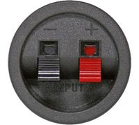 Sintron 204611 Clip enceinte