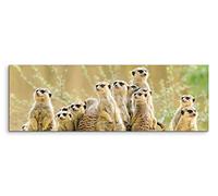 Sinus Art Image panoramique XXL 150 x 50 cm - Groupe de suricates