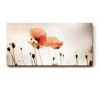 Sinus Art Tableau mural 100 x 50 cm Motif coquelicots en filigrane sur fond clair dans un style minimaliste - Légère et poétique