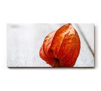 Sinus Art Tableau mural 100 x 50 cm Motif naturel calme avec fleur semblable à du physique sur fond en bois rustique