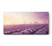 Sinus Art Tableau mural 100 x 50 cm Paysage paisible avec rangées de lavande et lumière douce du soir pour une atmosphère chaleureuse
