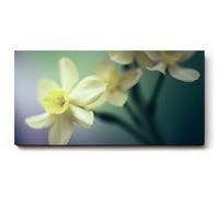 Sinus Art Tableau mural, 100 x 50 cm, représentation élégante de jonquilles, symbole de nouveau départ et de légèreté