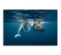 Sinus Art Tableau mural 120 x 80 cm - Motif : baleine à bosse et bébé