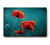 Sinus Art Tableau mural 120 x 80 cm Motif coquelicots en rouge intense sur fond bleu turquoise - Moderne, puissant, réduit