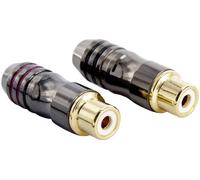Sinuslive CSF Adaptateur RCA