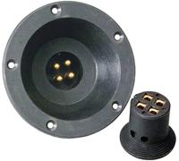 Sinuslive Jeu de fiches pour haut-parleurs HiFi auto 4 x 4 mm² avec connecteur femelle encastrable, doré