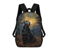 sinyumoney Chocolate Labrador at Nigh Sacs À Dos Pour Garçons, Cartables Imprimés En 3D, Sacs À Dos De Voyage Tendance Pour Garçons (primaire, Collège) 17inch