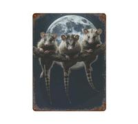 sinyumoney Plaques métalliques vintage « Opossums au clair de lune » - Décoration murale pour femme - Cadeau pour la maison ou le bar - 40 x 30 cm