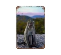 sinyumoney Tableau décoratif mural en fer imperméable représentant un singe au sommet d'une montagne, pour la maison ou le bureau, 30 x 20 cm