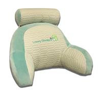 Sinyuyong Coussin de lecture rafraîchissant, coussin de dossier en velours de soie glacée avec housse amovible for un été frais(F,50-70CM)