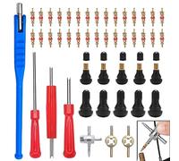 sinzau 47 Pièces TR412 Démonte Valve de Pneu Outil, Valve Core Remover pour Voiture Remplacement, avec Valve de Pneu en Caoutchouc, Démonte Valve Double et Simple Tête pour Voitures et Motos
