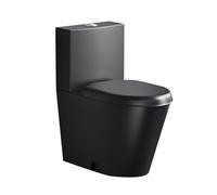 Siphon WC double chasse d'eau en acier inoxydable, design économe en eau, anti-gel et résistant aux fissures, idéal pour les salles de bains commerciales et publiques