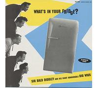 Sir Bald Diddley - What's In Your Fridge ? (LP)