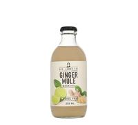 Sir James 101 Ginger Mule Alcohol Free 25cl Prémix / Prêt à boire